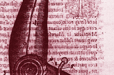 To Believe Is a Choice by Nyeree Boyadjian