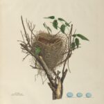 Something Living by Natasia Rose