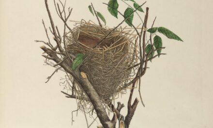 Something Living by Natasia Rose